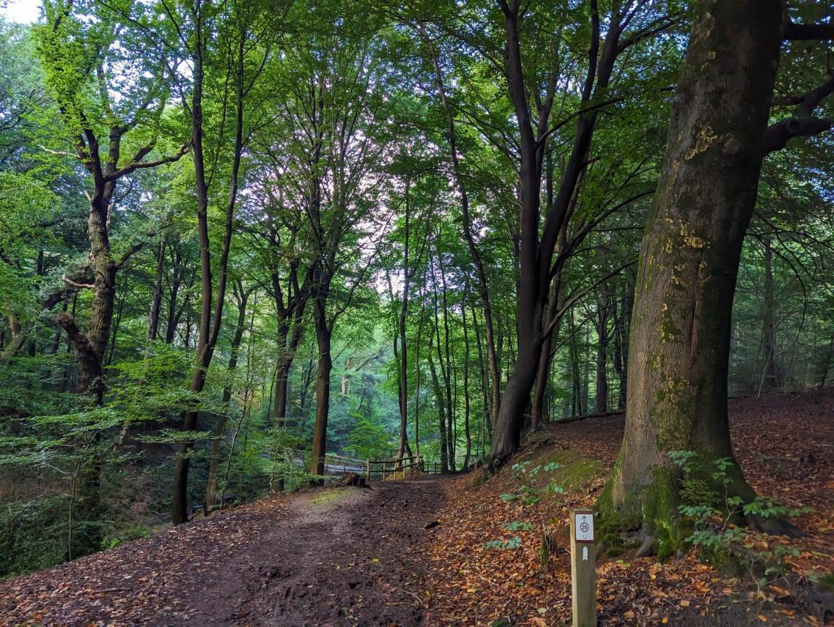 Klavertje 4 Middelaar Exteriör bild